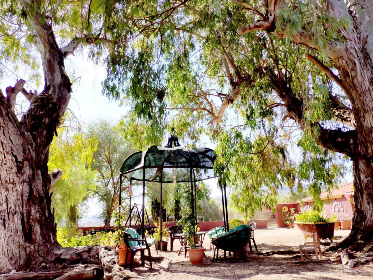 Casa Del Procurador Pension Las Virtudes Buitenkant foto