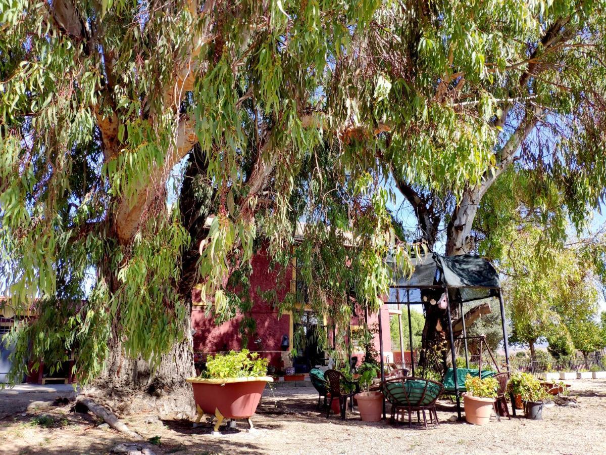 Casa Del Procurador Pension Las Virtudes Buitenkant foto